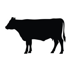 Black silhouette of a standing cow on a white background