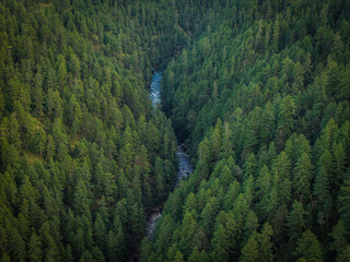 Aerial view of a serpentine river carves its way through a dense, verdant forest, contrasting the cool blue waters with the warm green canopy, Tang Gewog, Bumthang, Bhutan.