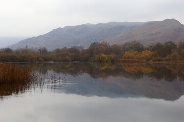 Reflections of Elterwater in Autumn. Misty, still day in autumn at Elterwater. Views limited by grey cloud.