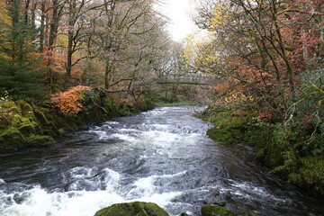 River Brathay running through a narrow gorge in late Autumn.