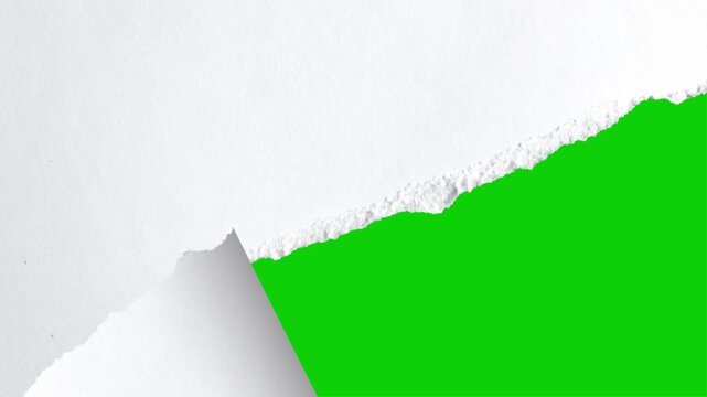 Smooth and realistic white paper tear reveal transition with clean edges on green screen. for logo reveals, title animations, transitions, overlays, and presentations. 4K, alpha channel, loopable