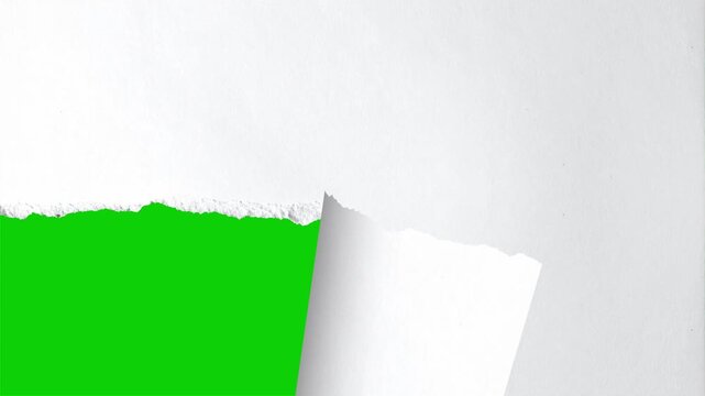 green screen clean white paper tearing from the center outward revealing background. Ideal transition for logo reveals, titles, presentations and video edits. 4K resolution with alpha channel