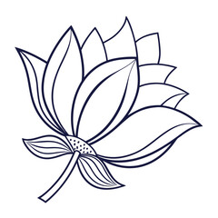 Fototapeta premium vector illustration of a flower
