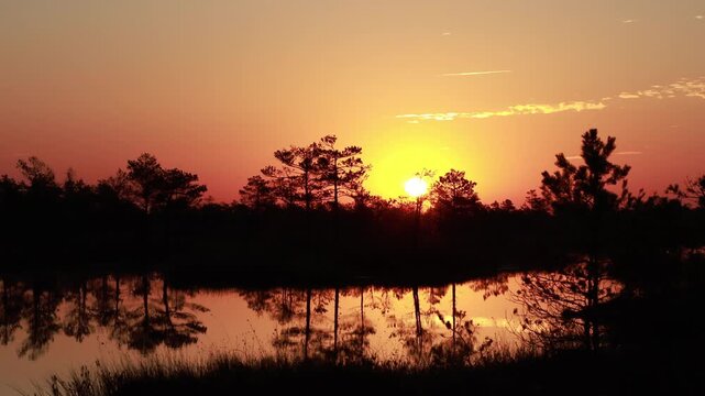 Witness the stunning sunset over Yelnya swamp massif, showcasing tranquil lakes and beautiful reflections. Enjoy the serene beauty of this unique Belarusian nature reserve