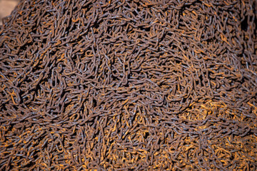 Rusty Heavy Chain Close-Up Texture Background