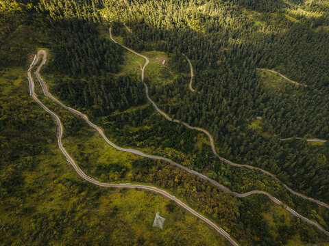 Aerial view of winding roads cutting through dense, dark green forests and golden meadows near Chele La pass, Paro, Paro, Bhutan.