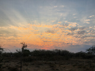 Coucher de soleil sur la savane