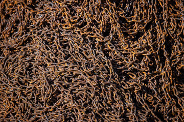 Rusty Heavy Chain Close-Up Texture Background