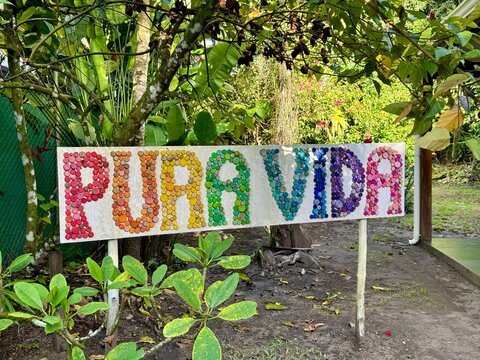 Pura vida