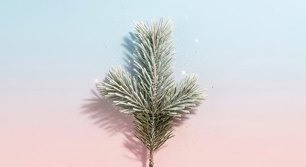 Festive Silver Pine Branch with Frosted Needles on Pastel Background for Holiday Decor and Winter Themes