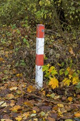 Red and white boundary post marking land property in autumn forest
