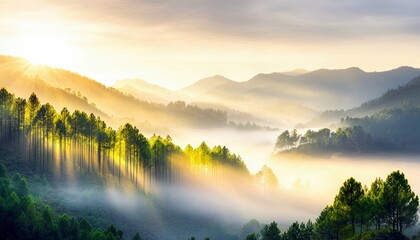 A breathtaking view of rolling mountains shrouded in mist, with dramatic sunbeams piercing through a line of pine trees on a hillside during a golden sunrise.