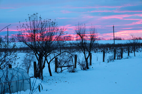 A cold winter landscape at sunrise or sunset, where the sky is illuminated by thin streaks of pink and blue clouds. 