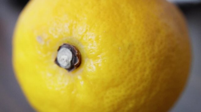 bright lemon beside moldy rind closeup, alternating shots of fresh peel and pale green fungal colony, vibrant yellow skin contrasted with fuzzy mycelium, cautionary food safety narrative suitable