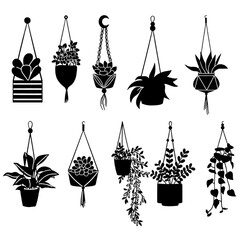 Macrame Plant Hanger Designs, Boho Chic Indoor Garden Decor for Home, Social Media, and Eco-Friendly Branding