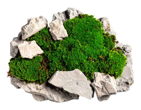 Floating Chunk of Concrete with Organic Moss Spread, Isolated Sculpture Style, isolated