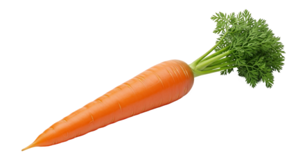 Fresh orange carrot with green leafy top, smooth surface, and tapered shape—vibrant root vegetable ideal for culinary, botanical, or nutritional reference