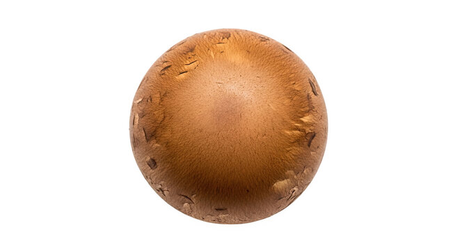 Single brown mushroom viewed from above, with smooth rounded cap, darker center, and light edges&mdash;natural texture and organic shape ideal for culinary or botanical reference