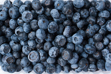 Blueberries in a plastic container isolated on a white background.