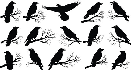 Flying and Perched Birds on Branches for Gothic, Halloween, and Mysterious Design Elements.