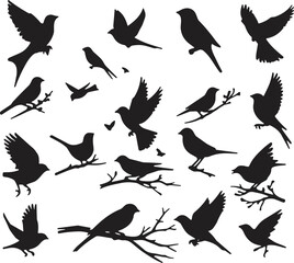 Obraz premium flying, sitting on tree branches, perching, and small birds isolated on a white background.