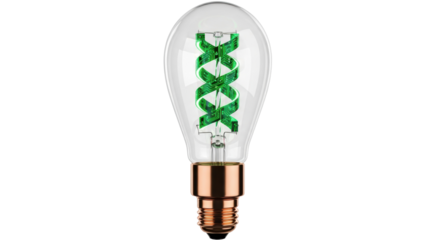 Decorative light bulb with green circuit board filament isolated PNG, modern technology and innovative design for creative projects
