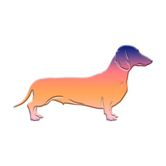 Illustration of colorful dachshund dog with a vibrant gradient of orange, pink, and purple hues, standing in profile, isolated on transparent background