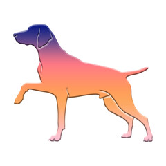 Illustration of colorful gradient silhouette of a pointing dog, possibly a vizsla or german shorthaired pointer, in a classic stance isolated on transparent background