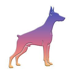 Illustration of artistic doberman pinscher dog silhouette in a striking purple to orange gradient, standing, isolated on transparent background