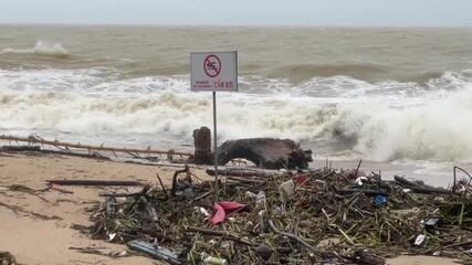Red no swimming sign standing on debris-covered Nha Trang beach where powerful winds create rough murky waves and scatter plastic waste with branches 20 November 2025