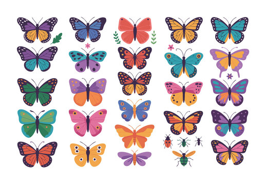 Colorful Butterfly Insect Illustrations Set