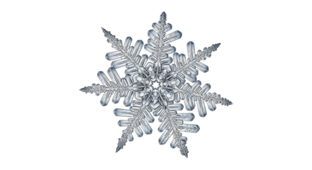 A single detailed ice crystal snowflake on a transparent background PNG image PNG file winter season decoration
