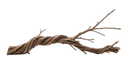 Rustic Gnarled Wood Branch for Christmas Decorations on a transparent background, PNG image, PNG file