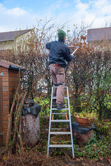 Fototapete bei efototapeten.de bestellen   