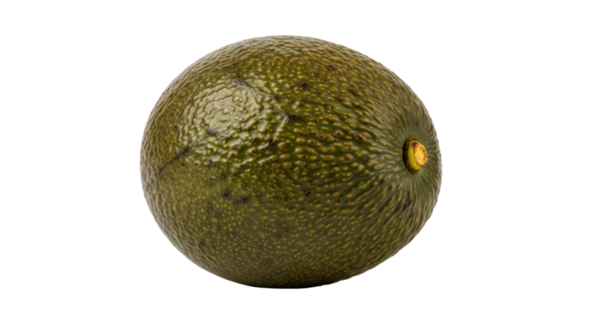 Ripe hass avocado isolated PNG on transparent background, whole fresh fruit with dark green bumpy skin, healthy eating and vegan diet ingredient