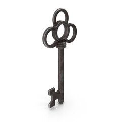 Dark steel skeleton key with vintage rounded head and aged texture
