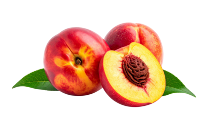  Dual Nectarine Compositions Representing Ripe Summer Fruit – isolated on transparent background