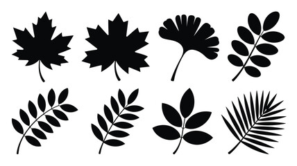 Set of various leaf silhouettes diverse botanical vector illustrations isolated on a white background for design elements