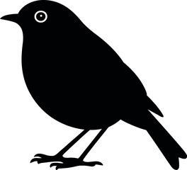 Black bird silhouette white background robin