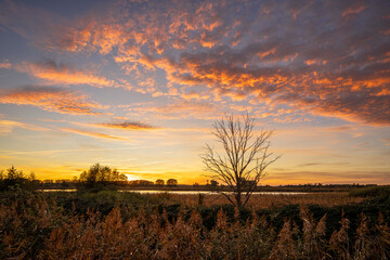 Linum lakes close to Fehrbellin, Brandenburg, Germany