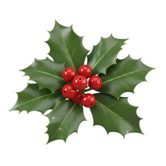 Holly sprig with red berries isolated on white isolated on transparent background