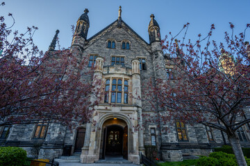 Obraz premium Trinity College entrance framed by spring trees