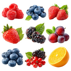 collection of berries