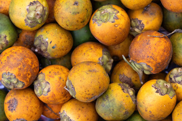 Vibrant close-up background of a pile of many ripe Betel Nuts (Areca catechu), a key raw ingredient from the Areca Palm, used traditionally for cultural and medicinal purposes.