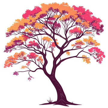 ramontchi tree on white background 