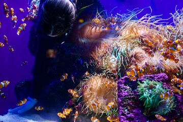 colorful coral reef in the night © Nicolae