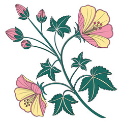 abution theophrasti with leaves