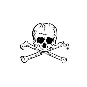 Skull and crossbones illustration created by hand.