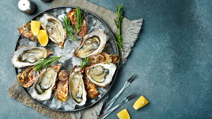 Fresh oysters in a plate with lemon and ice, ready to eat. Top view, on a gray stone background.