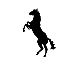 Dynamic Rearing Horse Silhouette Vector Illustration
